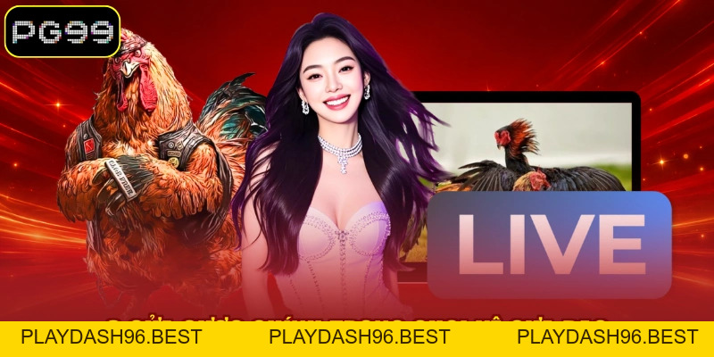 Đá Gà Cựa Dao - Loại Hình Thi Đấu Kịch Tính Tại PG99 - PLAYDASH96.BEST