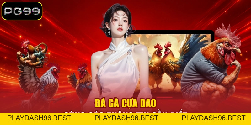 Đá Gà Cựa Dao - Loại Hình Thi Đấu Kịch Tính Tại PG99 - PLAYDASH96.BEST