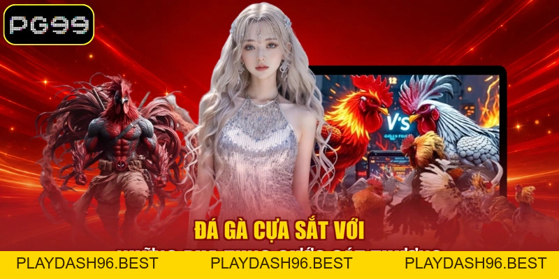 Đá Gà Trực Tuyến Là Gì? 03 Hình Thức Thi Đấu Nổi Bật - PLAYDASH96.BEST