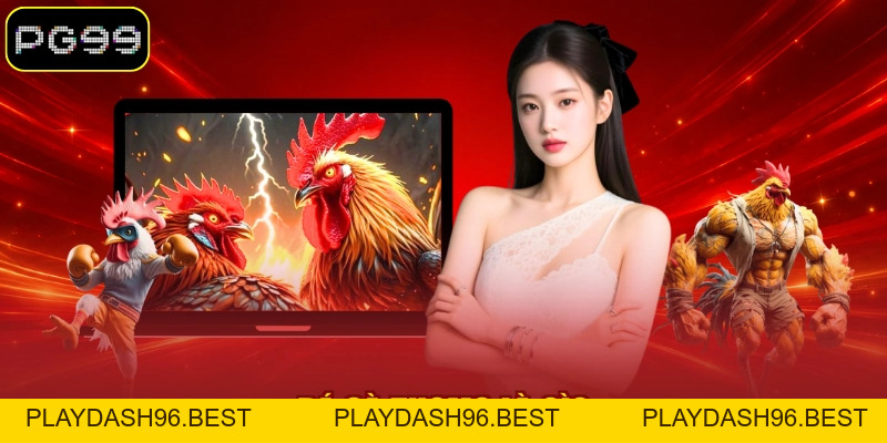Đá Gà Thomo Trực Tuyến Sôi Động Với Nhiều Kèo Hấp Dẫn - PLAYDASH96.BEST