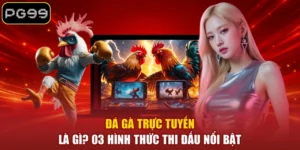 Đá Gà PG99 - Tận Hưởng 99+ Trận Đấu Kịch Tính Mỗi Ngày - PLAYDASH96.BEST