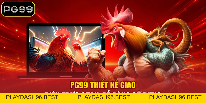 Đá Gà Thomo Trực Tuyến Sôi Động Với Nhiều Kèo Hấp Dẫn - PLAYDASH96.BEST