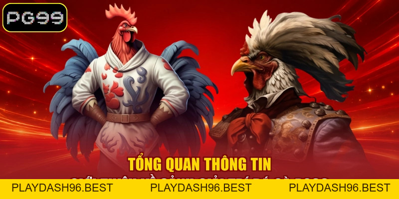 Đá Gà PG99 - Tận Hưởng 99+ Trận Đấu Kịch Tính Mỗi Ngày - PLAYDASH96.BEST