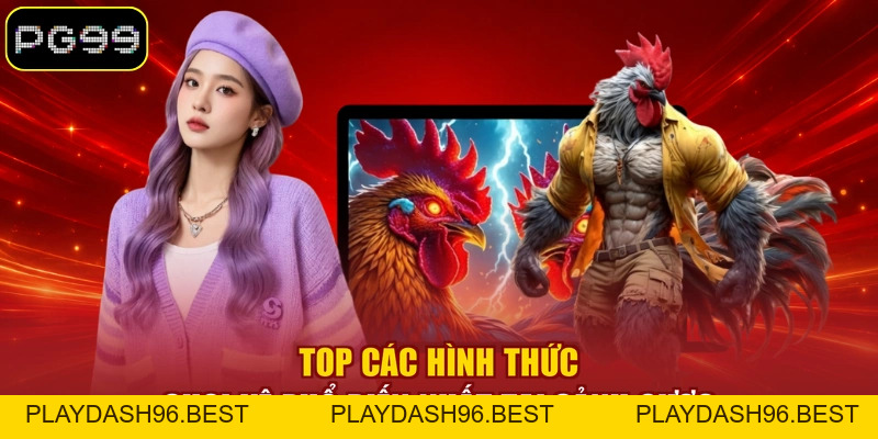 Đá Gà PG99 - Tận Hưởng 99+ Trận Đấu Kịch Tính Mỗi Ngày - PLAYDASH96.BEST